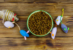 pet-food-and-accessories